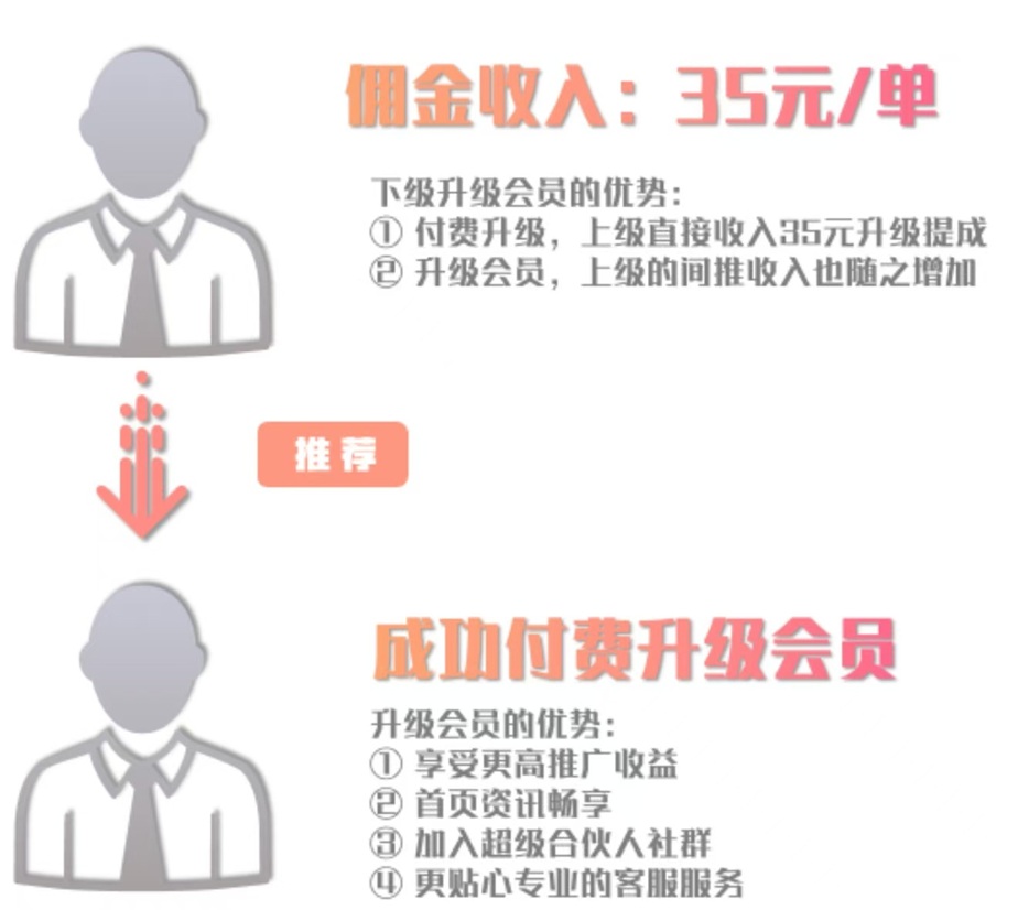 派金花合伙人怎么赚钱？